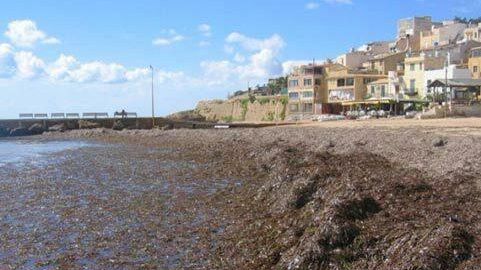 Castelvetrano, firmato accordo fra Comune e Belice Ambiente per compostaggio Posidonia spiaggiata
