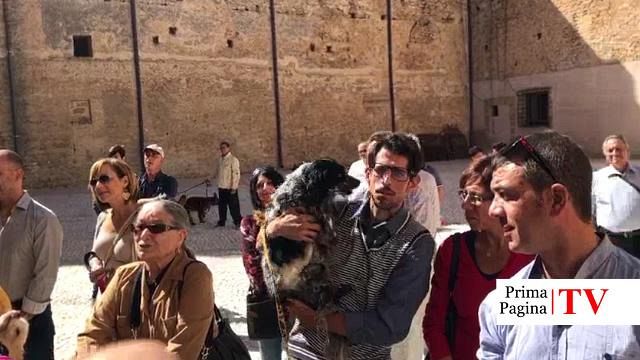L’Enpa organizza la benedizione degli animali