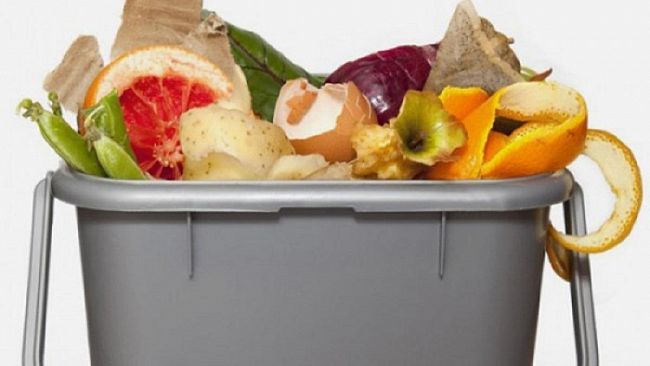 L’assessore Barresi” Vi spiego cosa succede con la mancata raccolta dell’organico”
