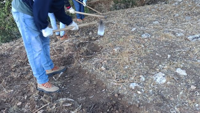 Ars, stabilizzazione degli ultimi lavoratori PIP