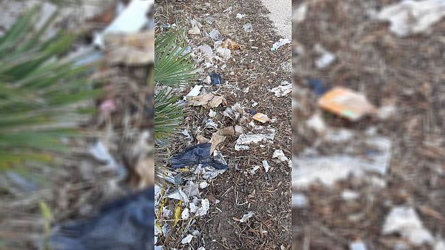 SPAZIO AL CITTADINO - Erice, la scerbatura fa discutere