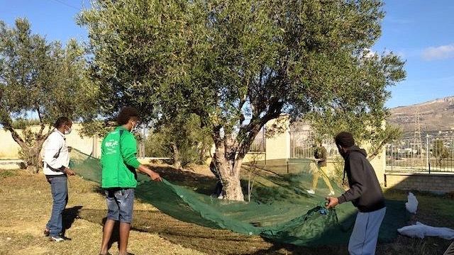  Protesta agricoltori. Il Sindaco Alfano va dal Prefetto