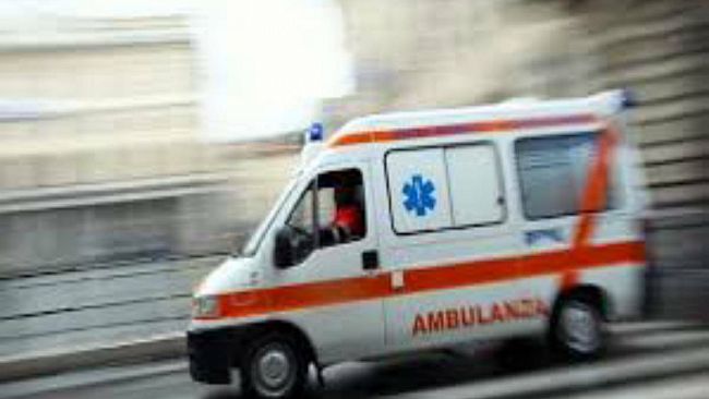 San Vito lo Capo, pitbull uccide un cagnolino. Ferita una donna