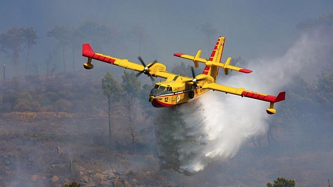 ​Incendi in Sicilia, Safina (Pd) chiede chiarezza sui mezzi aerei di soccorso