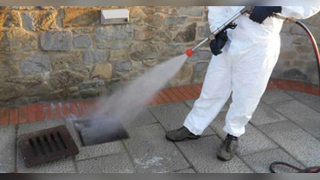 Mazara: ambiente, programmazione interventi derattizzazione e deblattizzazione – continua anche la discerbatura