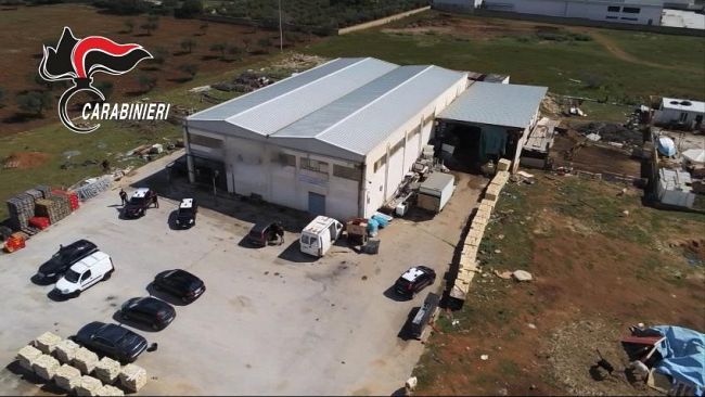 Castelvetrano, Giambalvo e Siracusa ulteriormente denunciati per maltrattamento di animali e altri reati