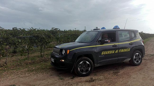La Gdf continua l’attivita di contrasto al lavoro nero in agricoltura. Scoperti 12 lavoratori irregolari