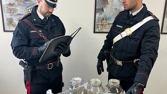 Blitz a Partinico: il cane Nadia fiuta la droga, scoperto deposito con 2 chili di marijuana
