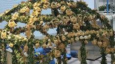 La Festa di San Giuseppe da Salemi all’Expo di Milano Un altare di pane in mostra al Cluster Bio-Mediterraneo