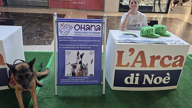 ​La dr.ssa mazarese Anna Bologna ospite a “L’Arca di Noè in Tour” 