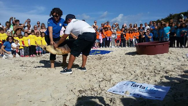 Il centro Amp di Favignana libera un esemplare di caretta caretta