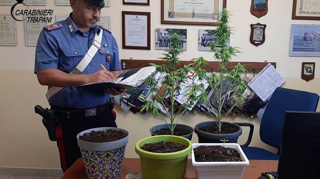 Misiliscemi: Coltivazione di marijuana. Denunciato un 52enne 