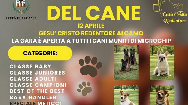 Ad Alcamo il sesto meeting del cane