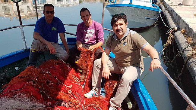 VIDEO – Mazara, i delfini distruggono le reti e “rubano” il pesce. L’incubo per la piccola pesca