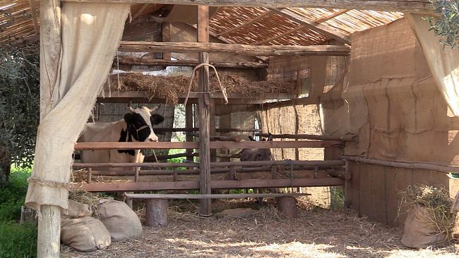 Castelvetrano: Sabato la presentazione del “Villaggio di Betlemme”. Alle 12.00, conferenza stampa al “Parco Fattoria Rosario Carimi”