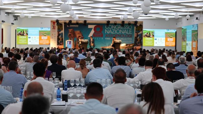 Agrigento ospita la 78ª edizione del Congresso Assoenologi: cultura, innovazione e sostenibilità nel mondo del vino