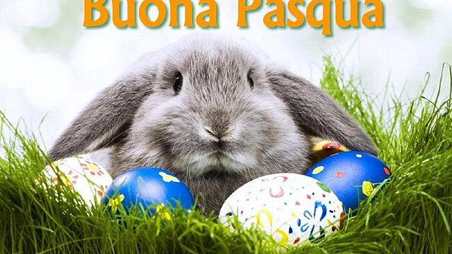 Auguri di Buona Pasqua e Pasquetta ai lettori di PrimapaginaCastelvetrano