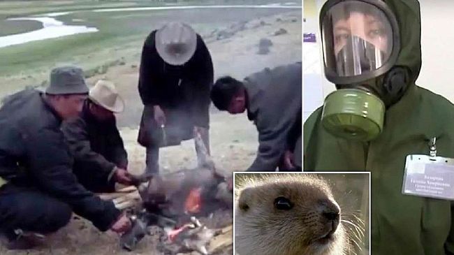 Una ‘’nuova’’ potenziale pandemia preoccupa il mondo: la peste bubbonica