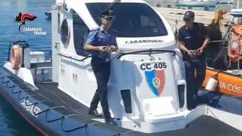 Favignana, i Carabinieri salvano quattro tartarughe in difficoltà nel mare delle Egadi