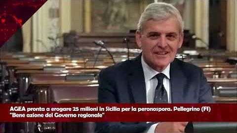 PRIMANEWS TG del 19 Dicembre 2024
